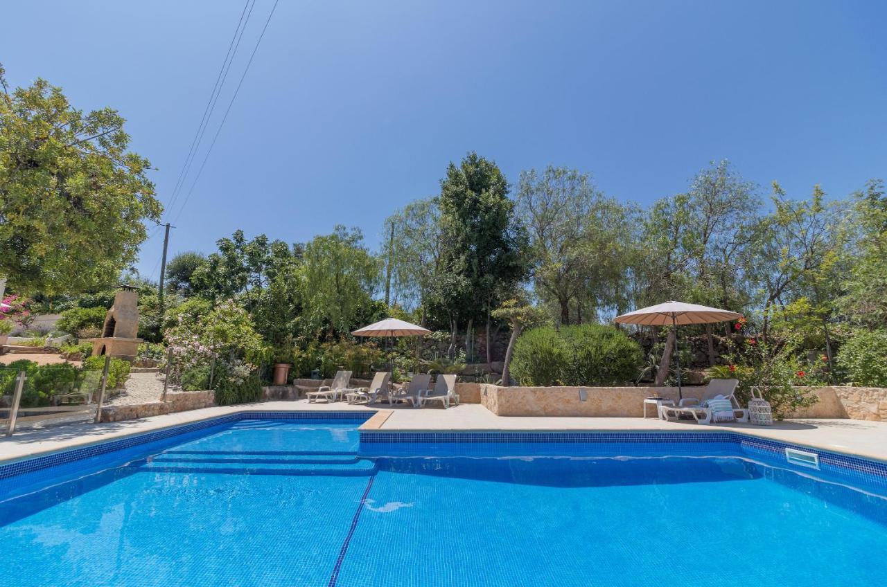 Villa Farm Of Dreams Algarve Almancil Exterior foto